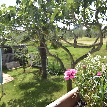 Διαμέρισμα With Parking Space Sveti Ivan, - 22472 *