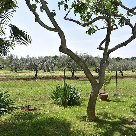 Διαμέρισμα With Parking Space Sveti Ivan, - 22472 *